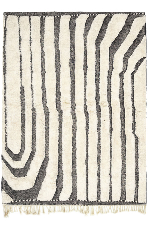 Zebra Abstract 5457