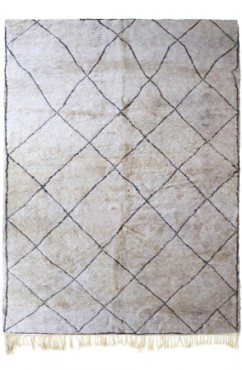 Broken Geometries 4464