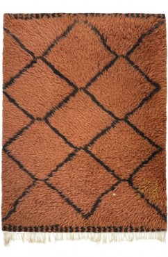 Mischievous Rug 4525